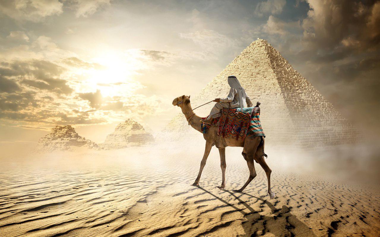 Monumental Images Of Camels, Dating Back 12,000 Years, Discovered In Arabia, Were ‘Signposts’ To Water.