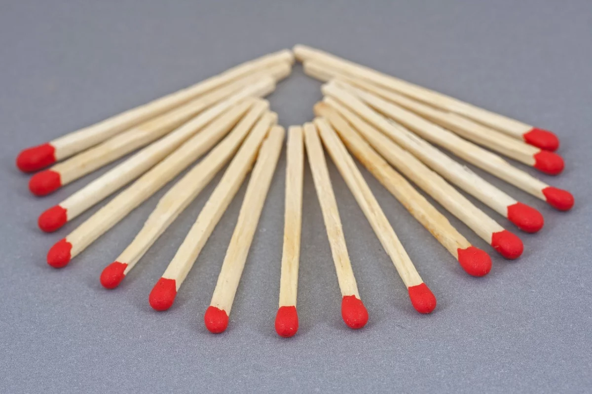 Putting Matches In A Plant Pot: What Is It For?