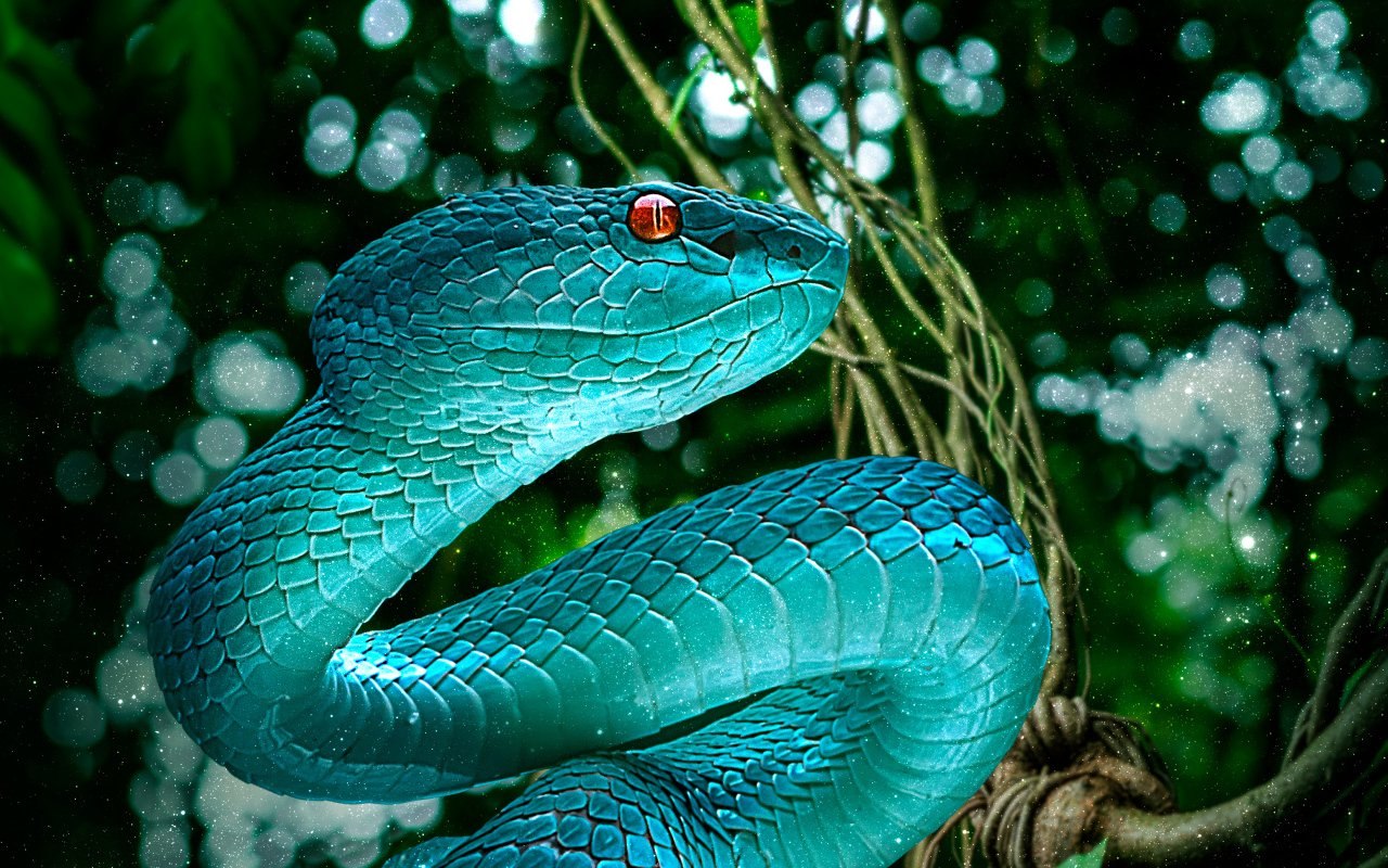 The King That Replaced The Dinosaurs: Titanoboa, The Snake That Ruled The Earth 60 Million Years Ago, Has Been Discovered.