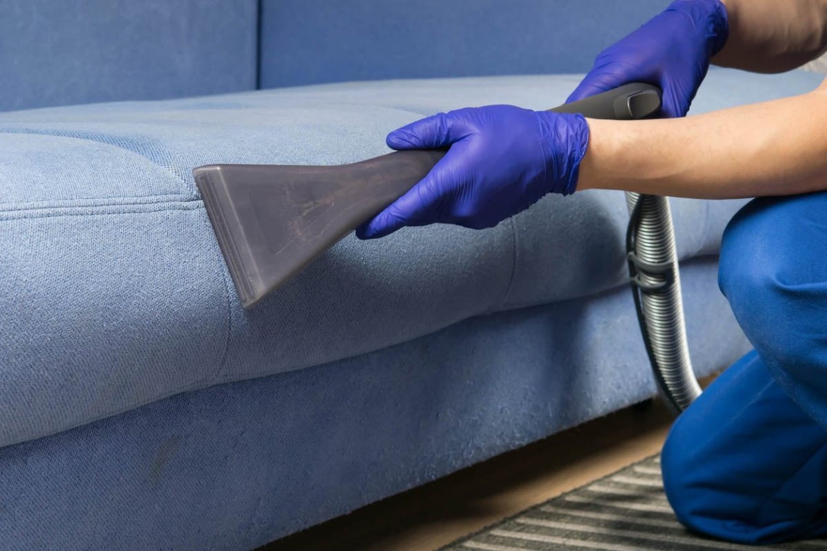 Use Baking Soda: The Most Effective Homemade Mixture For Cleaning Your Sofa With Three Ingredients