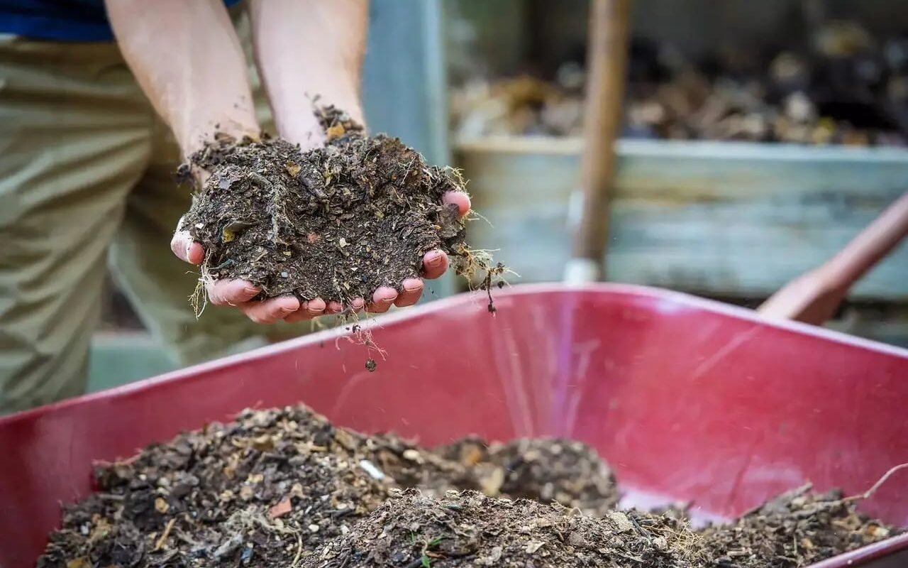 A Bathroom Without Water Or Chemicals: This Is How An Eco-Friendly Toilet That Turns Waste Into Compost Works.