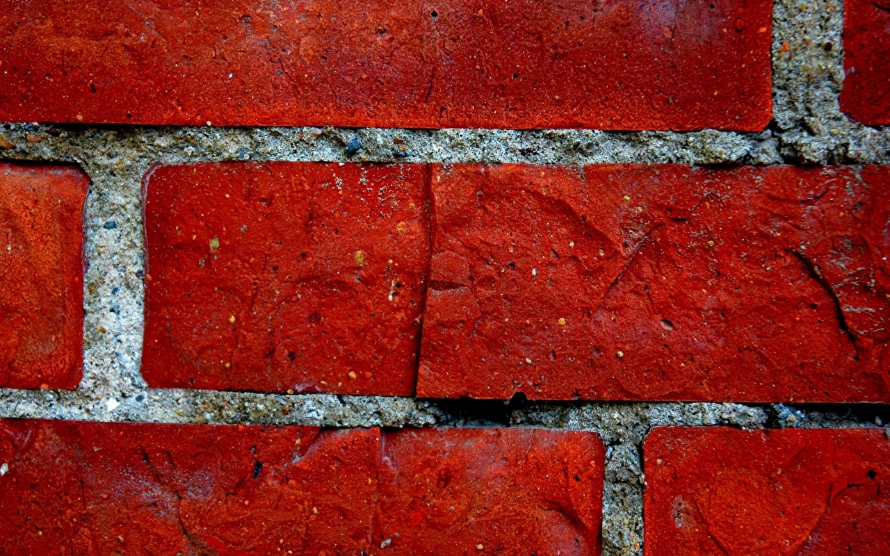 Goodbye, Traditional Cement: Scientists Have Created The World'S First ‘Living’ Cement, Capable Of Generating Energy And Changing The History Of Construction.