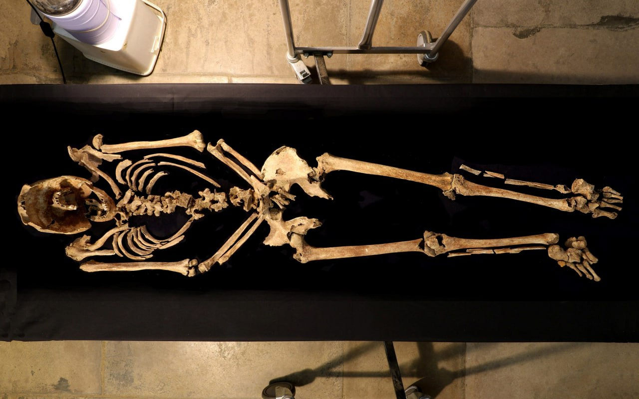 Scientists Have Discovered 7,000-Year-Old Mummies Whose Dna Has Nothing In Common With That Of Modern Humans: ‘They Belong To An Unknown Genetic Lineage.’