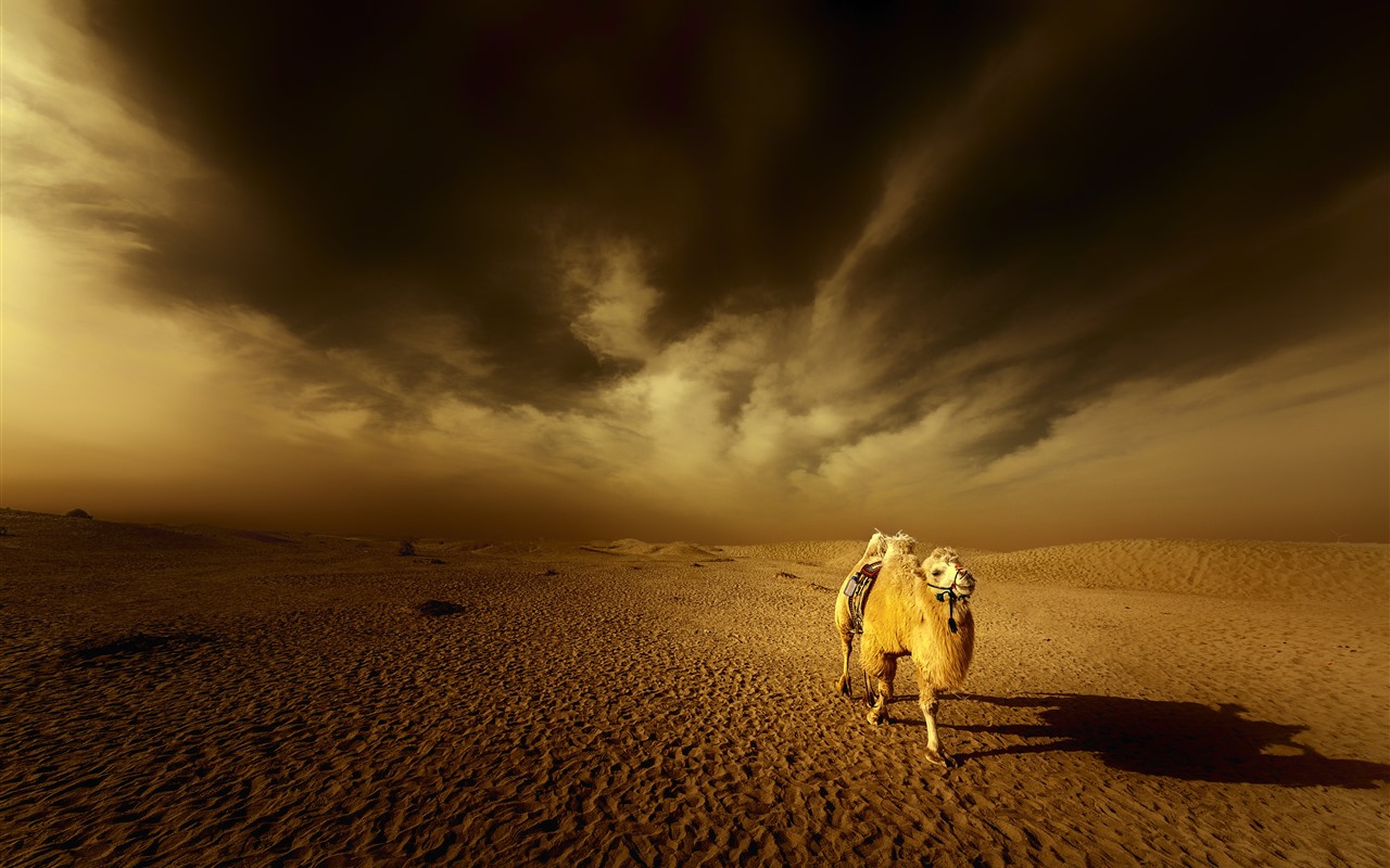 Arabia