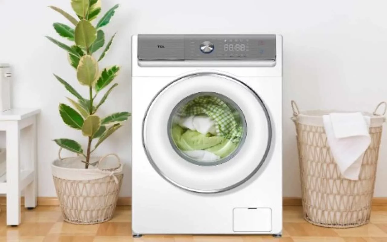 Many People Put A Sprig Of This Popular Plant In The Washing Machine To Keep Their Laundry Fresh And Fragrant For Longer.