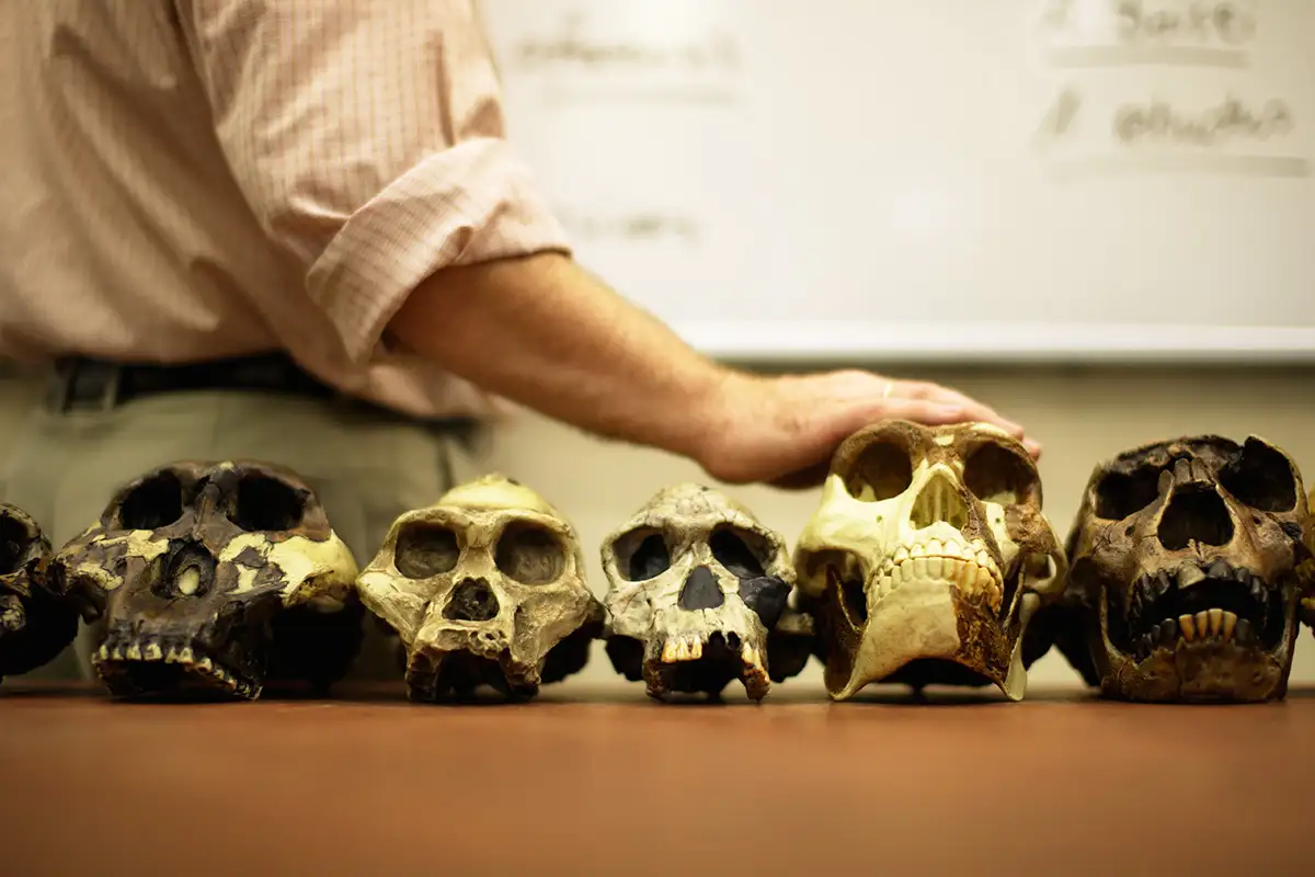 A Million-Year-Old Skull Found In China Could Rewrite The History Of Human Evolution