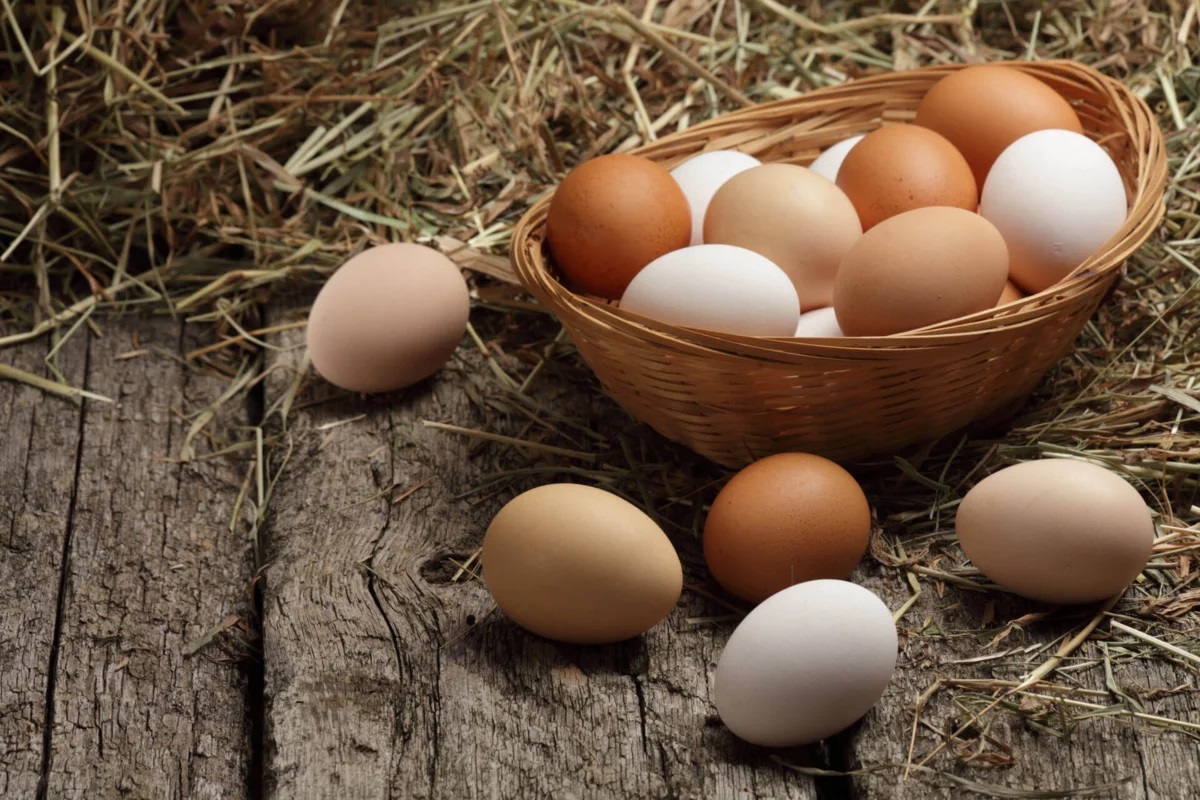 Egg