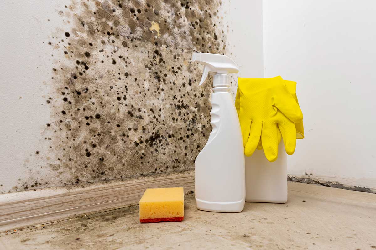 This Is Ordenatriz'S Simple (And Very Inexpensive) Trick For Removing Oil Stains From Walls.