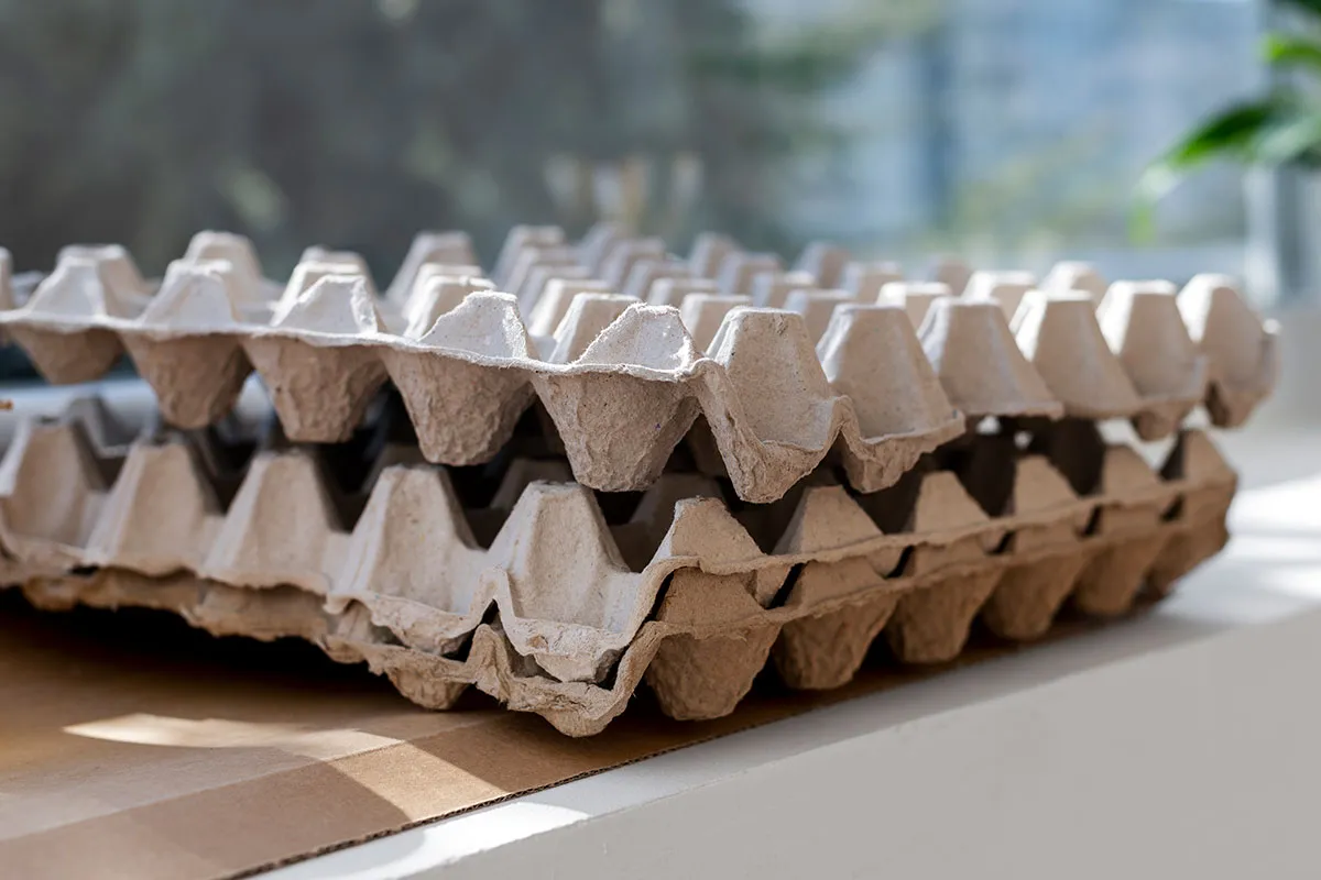 Egg Cartons