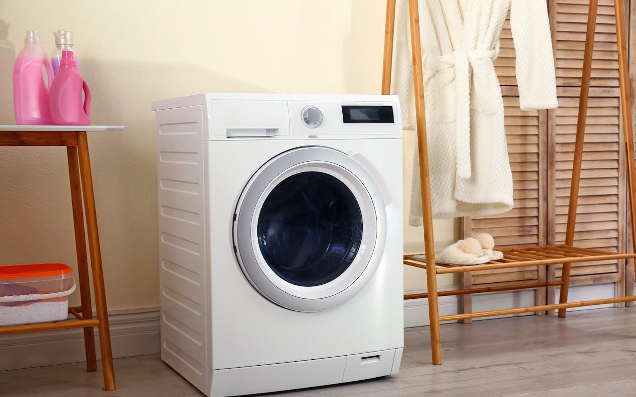 Many People Put A Sprig Of This Popular Plant In The Washing Machine To Keep Their Laundry Fresh And Fragrant For Longer.