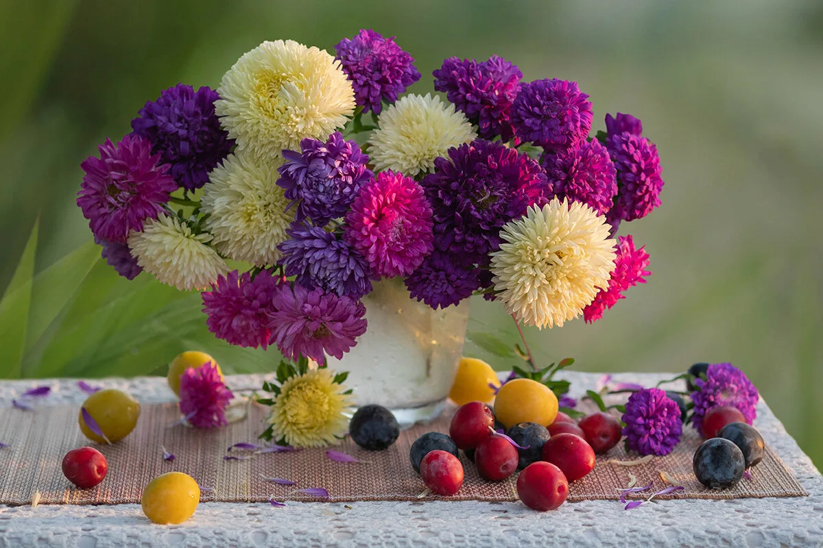 These Incredible Flowers Are Frost-Resistant And Help Bees Survive The Winter (If You Plant Them In October!).