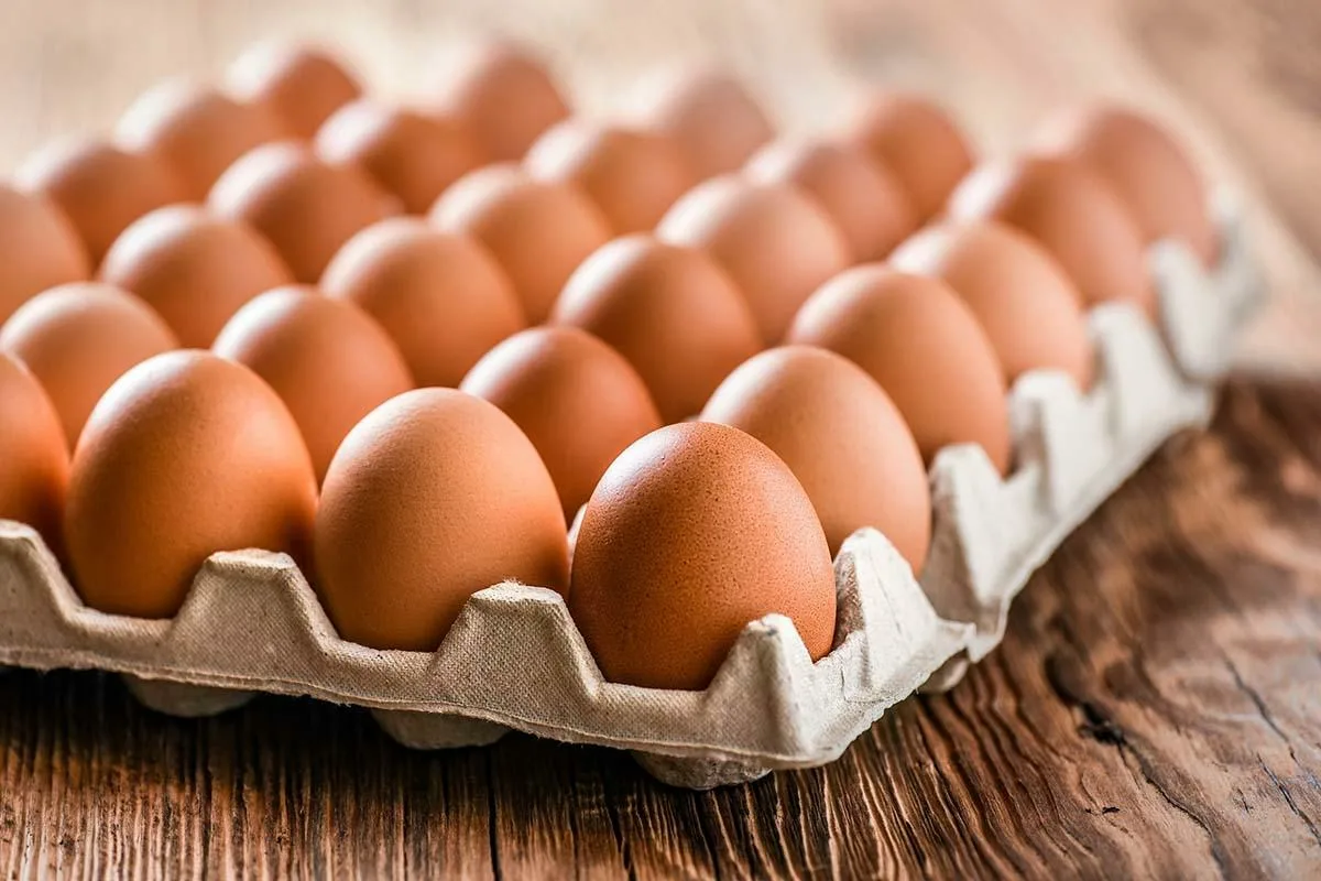Egg Consumption Reached Record Levels And Is Positioned As A Substitute For Meat