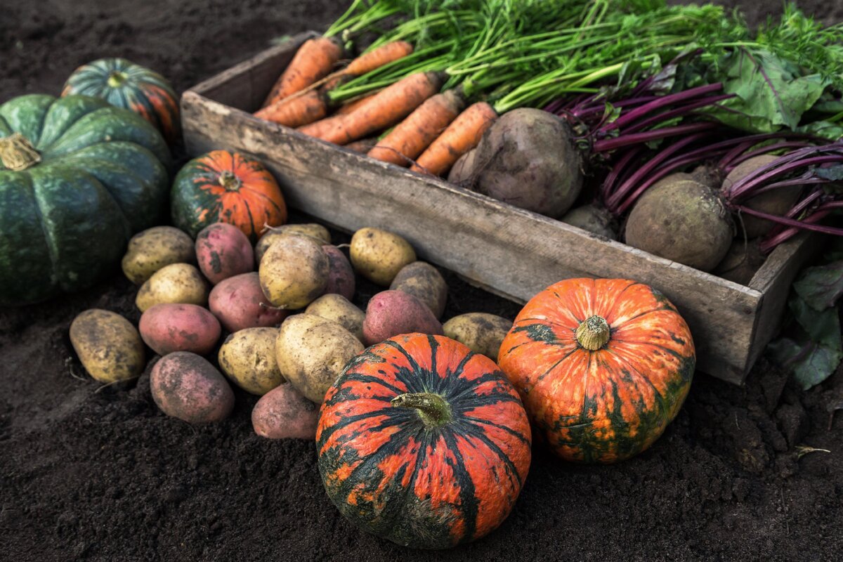 What Are The Six Savoury Foods That Raise Blood Sugar And How To Replace Them