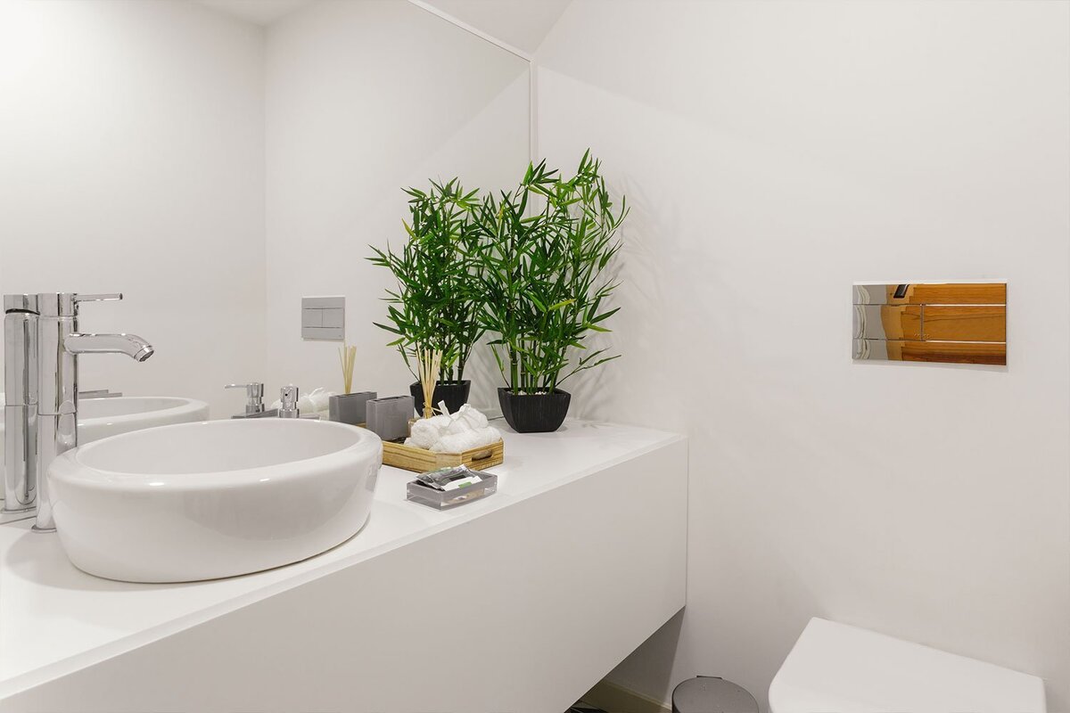 Nacho Legeren, Design Expert: ‘Before Putting Plants In The Bathroom, You Need To Know This.’