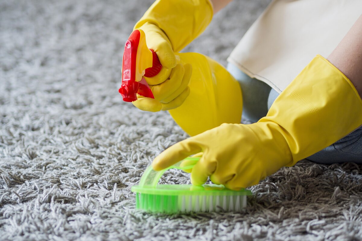 The Trick To Cleaning Carpets In Your Home: How To Make Them Sparkle Without Spending Too Much