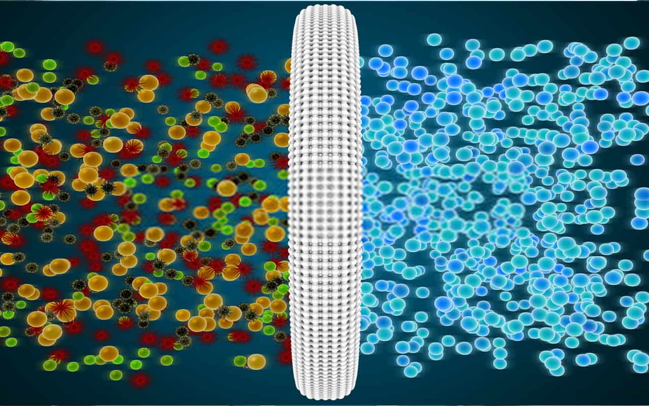 Scientists Have Discovered That The Air Inside Homes And Cars Contains Thousands Of Invisible Microplastic Particles: That'S How 68,000 Particles End Up In Your Lungs Every Day.